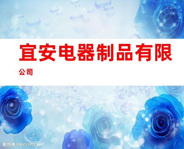 宜安电器制品有限公司
